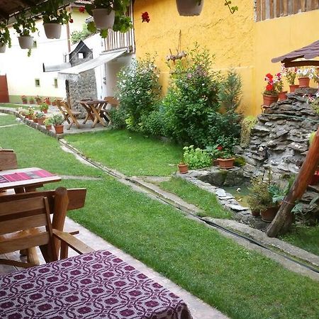 Casa Andra Hotel Cîrţişoara Exterior foto