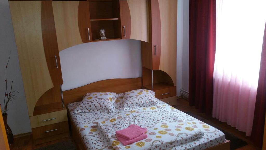 Casa Andra Hotel Cîrţişoara Exterior foto