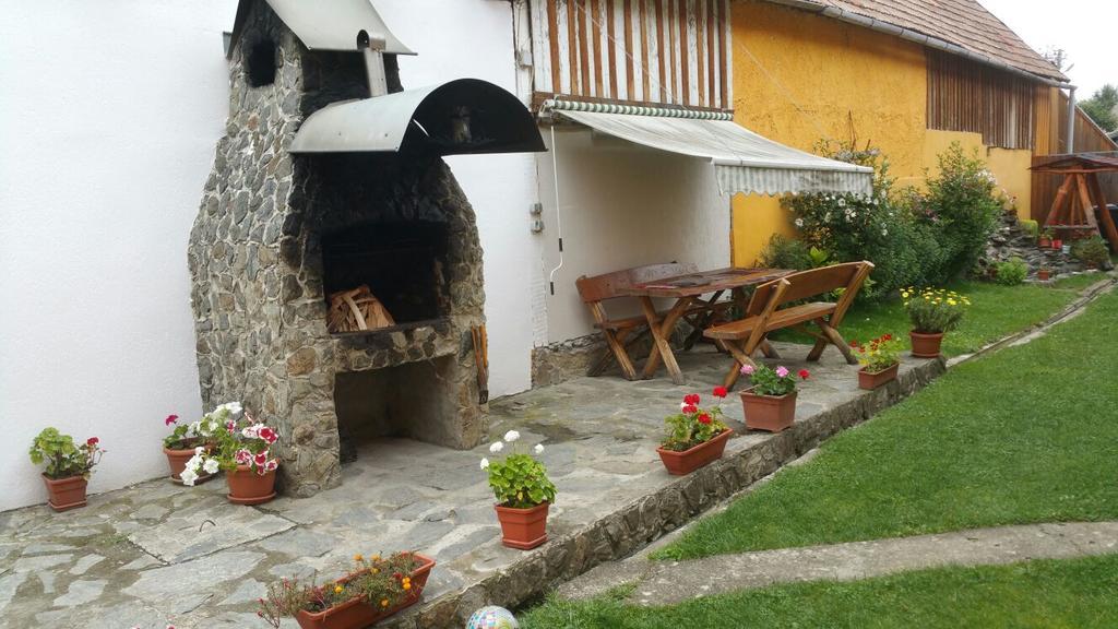 Casa Andra Hotel Cîrţişoara Exterior foto